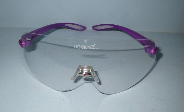 Защитные очки Hogies